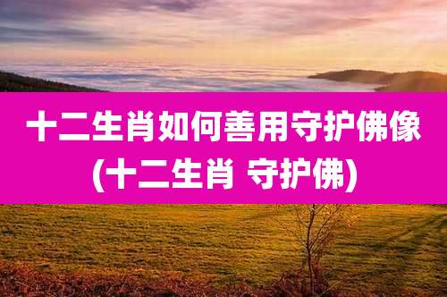 十二生肖如何善用守护佛像(十二生肖 守护佛)