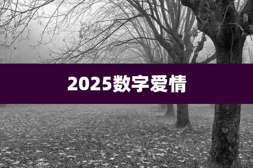 2025数字爱情