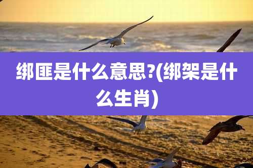 绑匪是什么意思?(绑架是什么生肖)