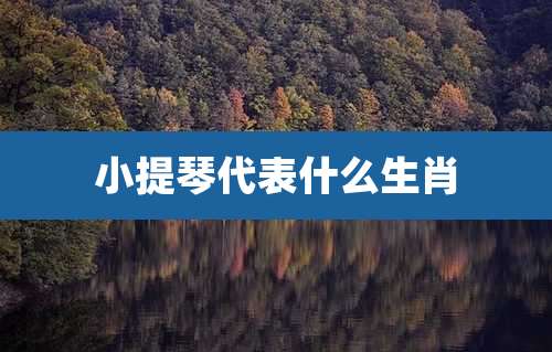 小提琴代表什么生肖