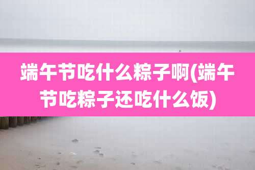 端午节吃什么粽子啊(端午节吃粽子还吃什么饭)