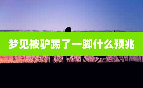 梦见被驴踢了一脚什么预兆