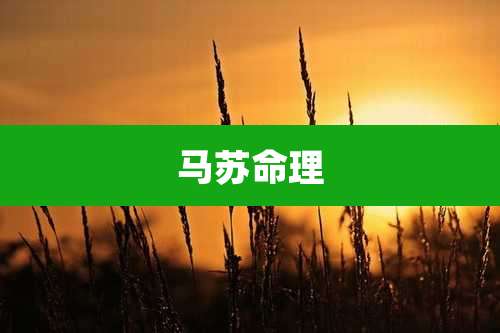 马苏命理