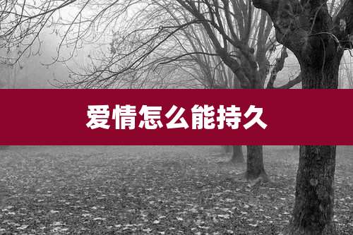 爱情怎么能持久