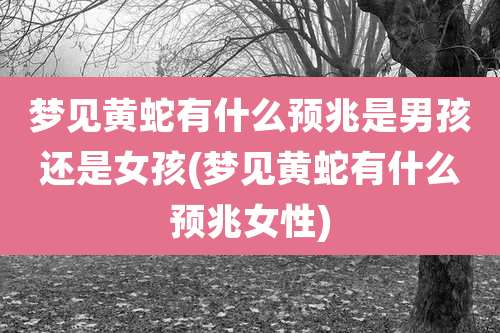 梦见黄蛇有什么预兆是男孩还是女孩(梦见黄蛇有什么预兆女性)