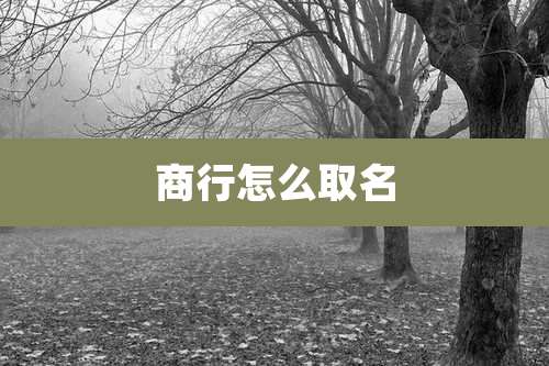 商行怎么取名