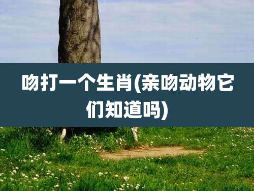 吻打一个生肖(亲吻动物它们知道吗)
