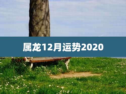 属龙12月运势2020
