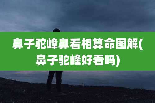 鼻子驼峰鼻看相算命图解(鼻子驼峰好看吗)