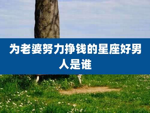 为老婆努力挣钱的星座好男人是谁