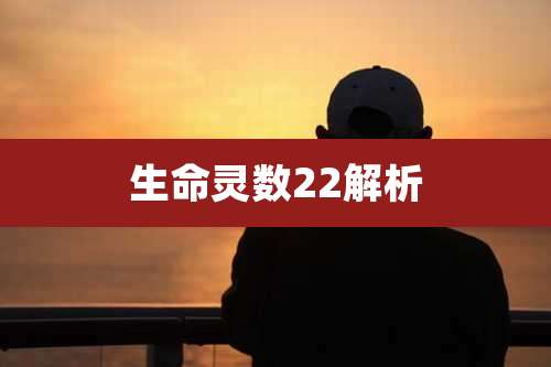 生命灵数22解析