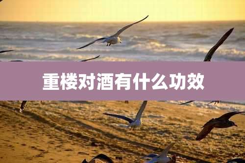 重楼对酒有什么功效