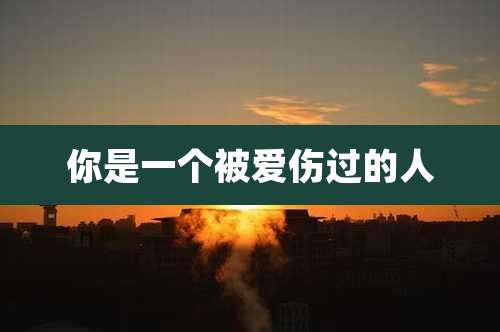 你是一个被爱伤过的人