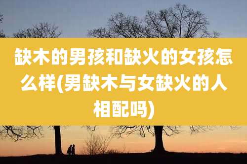 缺木的男孩和缺火的女孩怎么样(男缺木与女缺火的人相配吗)