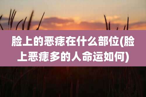 脸上的恶痣在什么部位(脸上恶痣多的人命运如何)