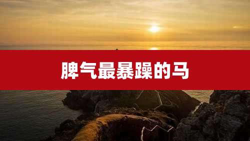 脾气最暴躁的马