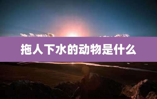 拖人下水的动物是什么