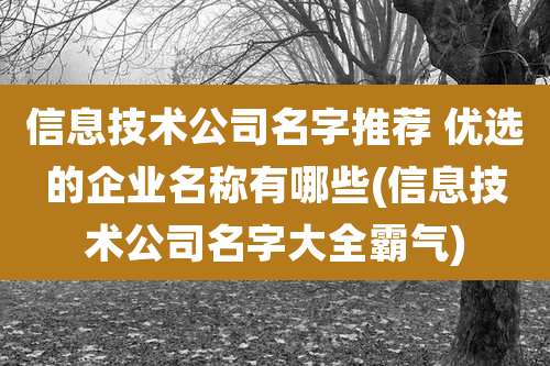 信息技术公司名字推荐 优选的企业名称有哪些(信息技术公司名字大全霸气)