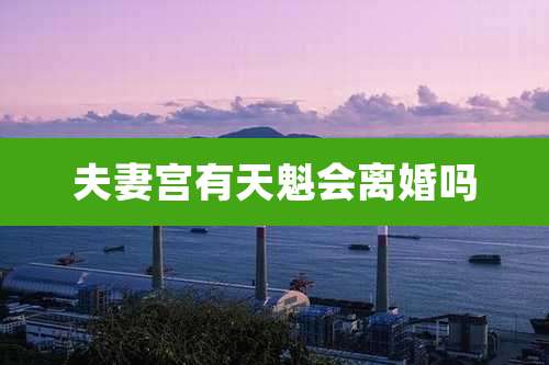 夫妻宫有天魁会离婚吗