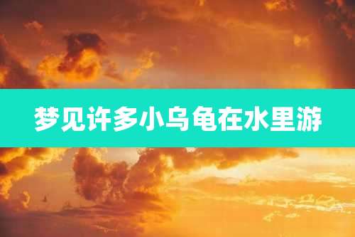 梦见许多小乌龟在水里游