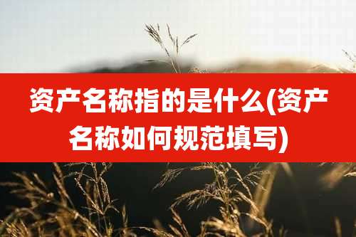 资产名称指的是什么(资产名称如何规范填写)