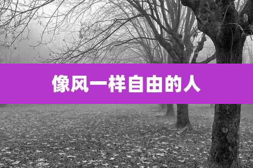 像风一样自由的人