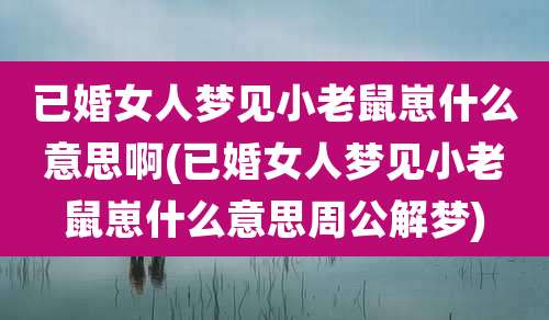 已婚女人梦见小老鼠崽什么意思啊(已婚女人梦见小老鼠崽什么意思周公解梦)
