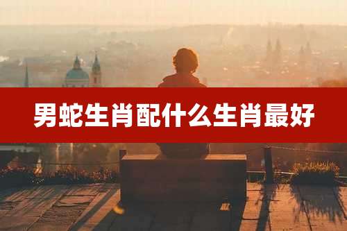 男蛇生肖配什么生肖最好