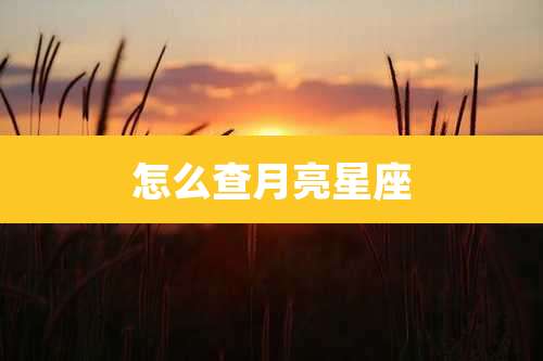 怎么查月亮星座