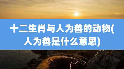 十二生肖与人为善的动物(人为善是什么意思)