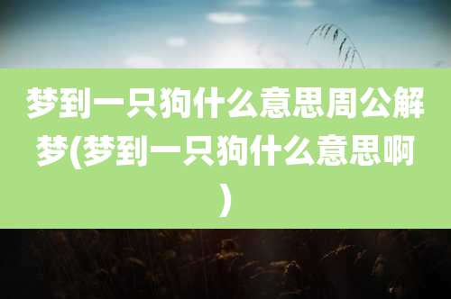 梦到一只狗什么意思周公解梦(梦到一只狗什么意思啊)