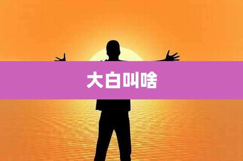 大白叫啥