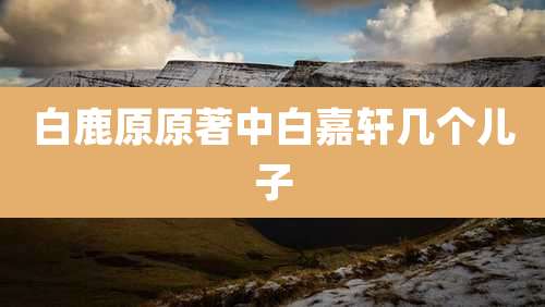 白鹿原原著中白嘉轩几个儿子