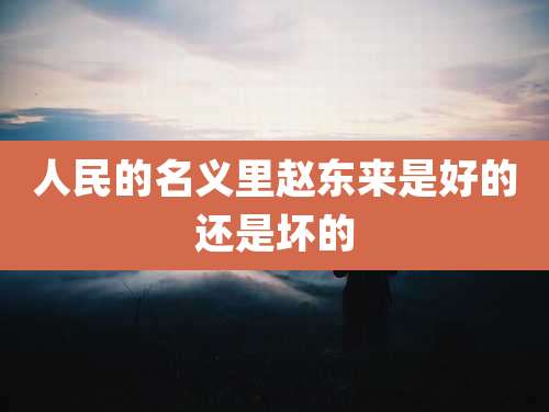 人民的名义里赵东来是好的还是坏的