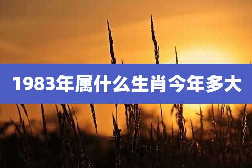1983年属什么生肖今年多大