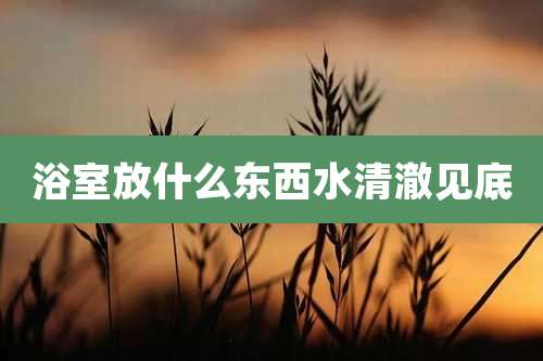 浴室放什么东西水清澈见底