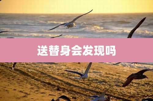 送替身会发现吗