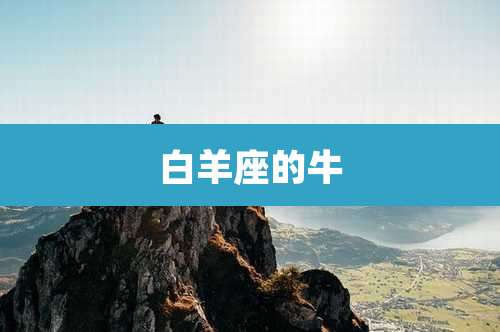 白羊座的牛