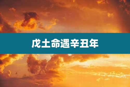 戊土命遇辛丑年