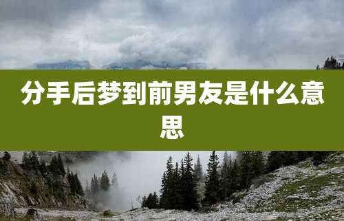 分手后梦到前男友是什么意思