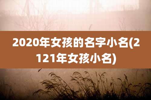 2020年女孩的名字小名(2121年女孩小名)