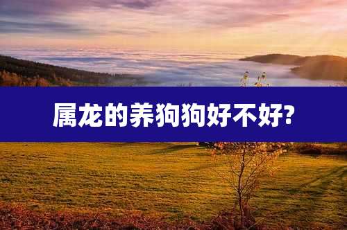 属龙的养狗狗好不好?