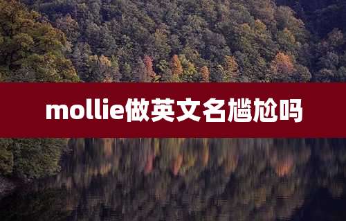 mollie做英文名尴尬吗