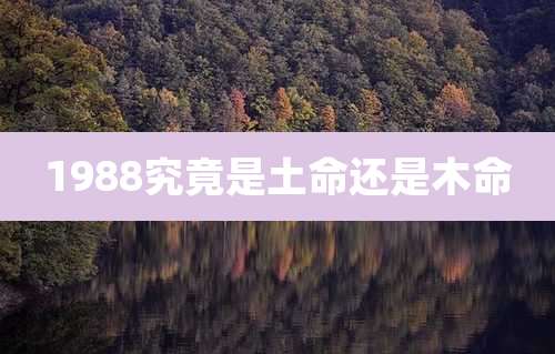 1988究竟是土命还是木命
