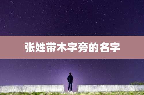 张姓带木字旁的名字