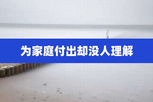 为家庭付出却没人理解