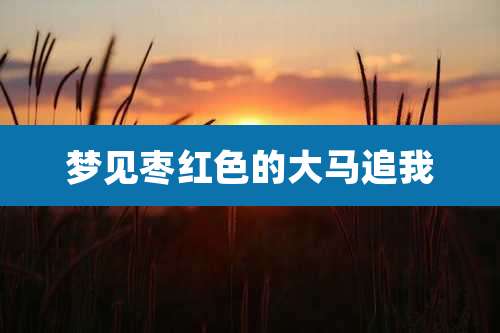 梦见枣红色的大马追我