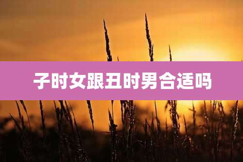 子时女跟丑时男合适吗