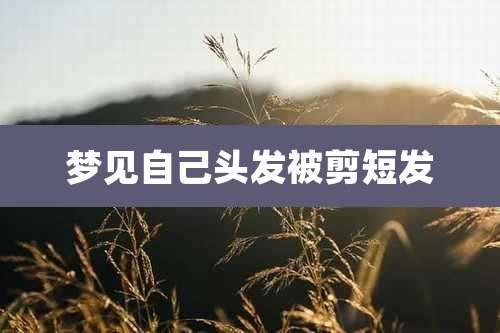 梦见自己头发被剪短发