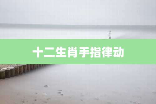 十二生肖手指律动